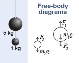 Free-body diagrams for two suspended masses