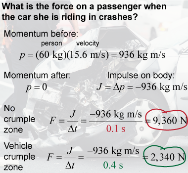 Impact forces on a person when in a car crash