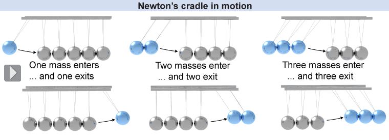 The behavior of Newton's Cradle