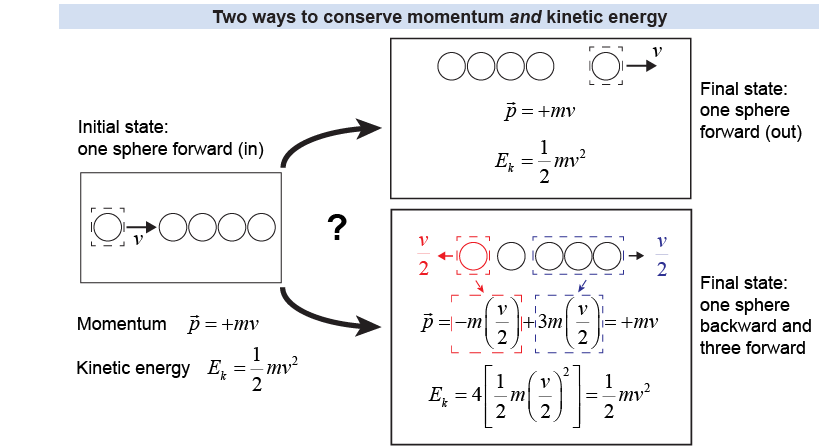 Understanding the behavior of a Newton's cradle