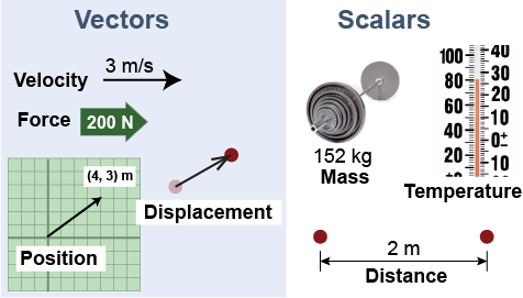 Vectors and scalars