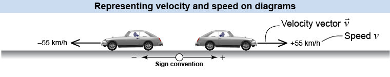 The relation between velocity and speed