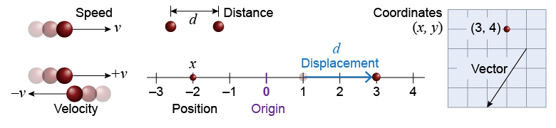 Different ways of visualizing motion