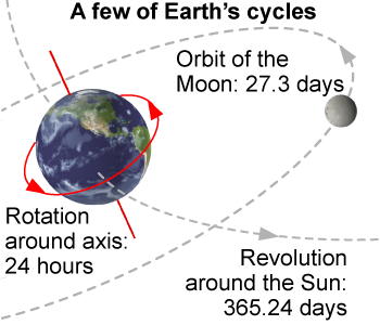 A few of the Earth's cycles