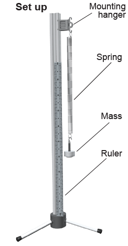 How to set up the vertical oscillator with two springs