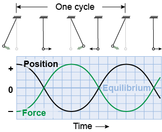 Position and force for one cycle of an oscillating pendulum