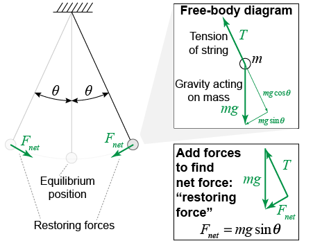 Simple pendulum and its free body diagram