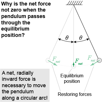 Net force as the pendulum crosses the equilibrium position