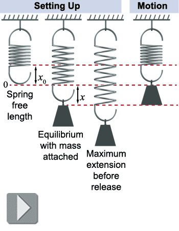 Vertical mass and spring oscillator