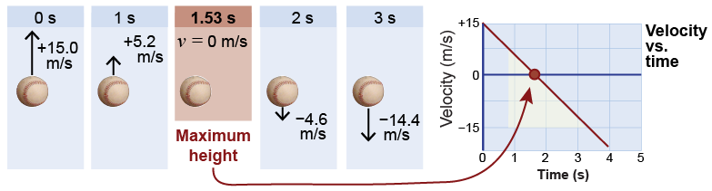 Maximum height for the baseball occurs when <i>v</i> = 0
