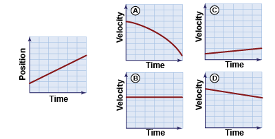 Which velocity-time graph corresponds to the position-time graph?