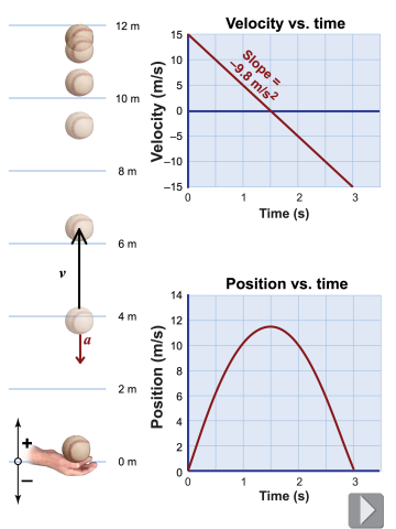 Velocity vs. time and position vs. time graphs for a baseball thrown upward
