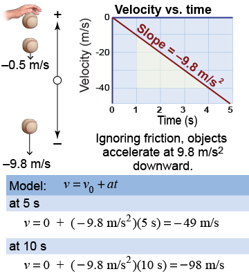 Model and graph for the motion of a falling baseball
