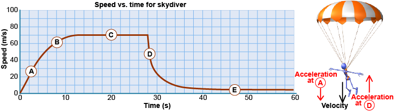 Speed vs. time graph for a skydiver