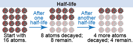 Half-life decay of a sample of 16 atoms