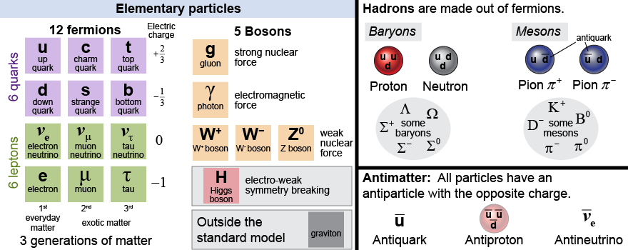 The standard model in physics