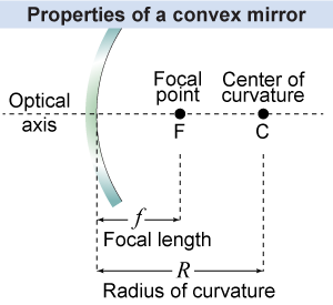 Identifying the basic properties of a convex mirror